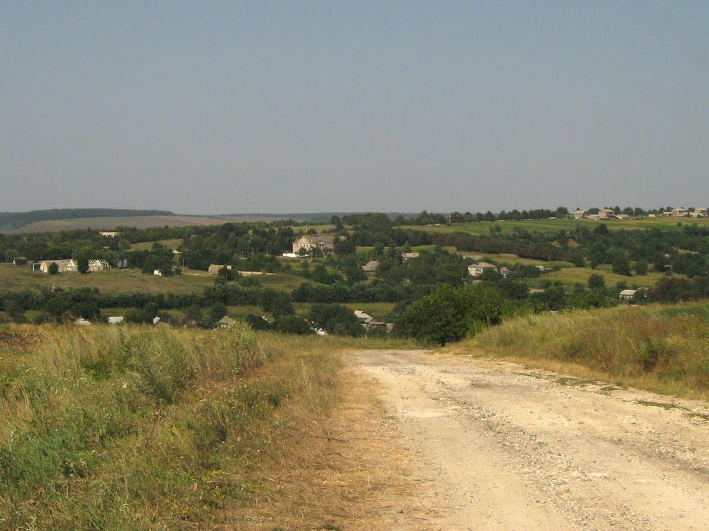 Гонорівка з panoramio.com - Гонорівка