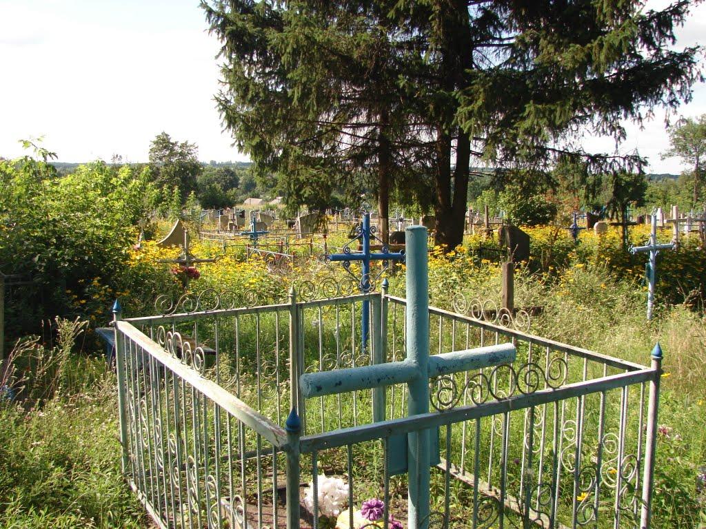 Василівка з panoramio.com - Василівка