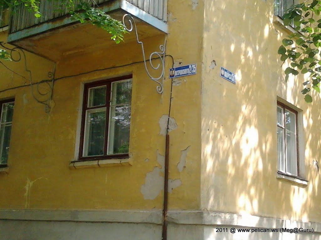 Миколаївка з panoramio.com (ч.2) - Николаевка