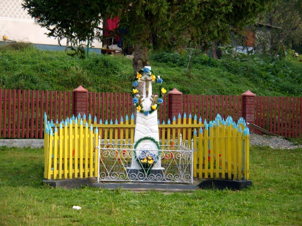 Добринів з panoramio.com - Добринів