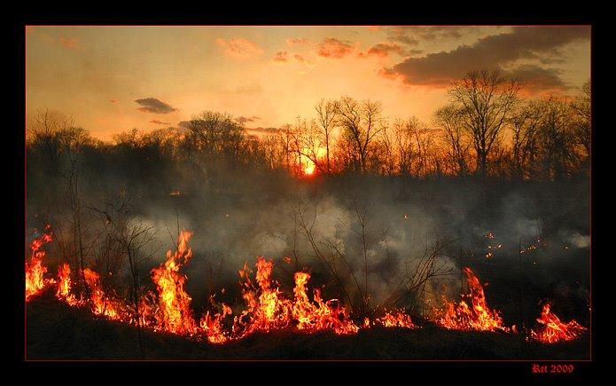 Велика Чернеччина з panoramio.com - Велика Чернеччина