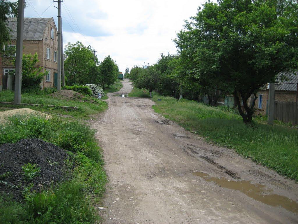 Артемівськ з panoramio.com (ч.2) - Артемівськ