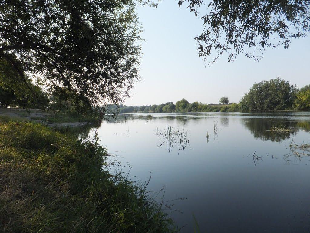 Бузьке з panoramio.com - Бугское