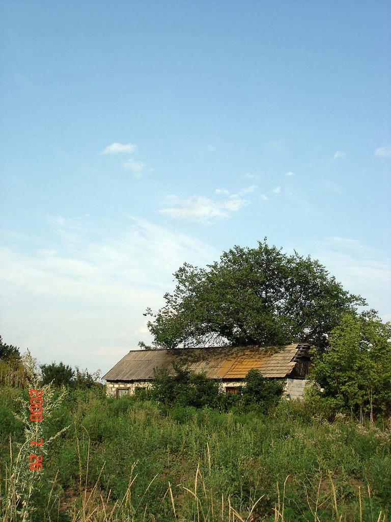 Єнакієве з panoramio.com (ч.3) - Енакиево
