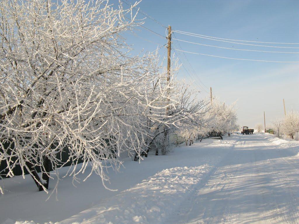 Криниці з panoramio.com - Криниці