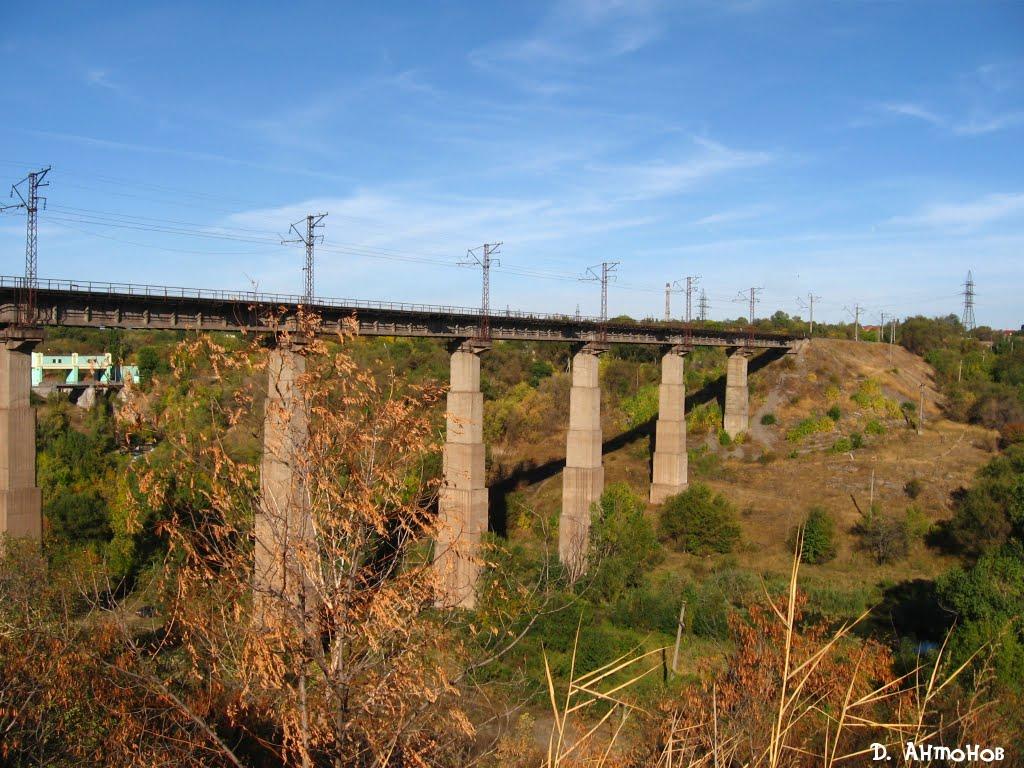 Вільне з panoramio.com - Вольное