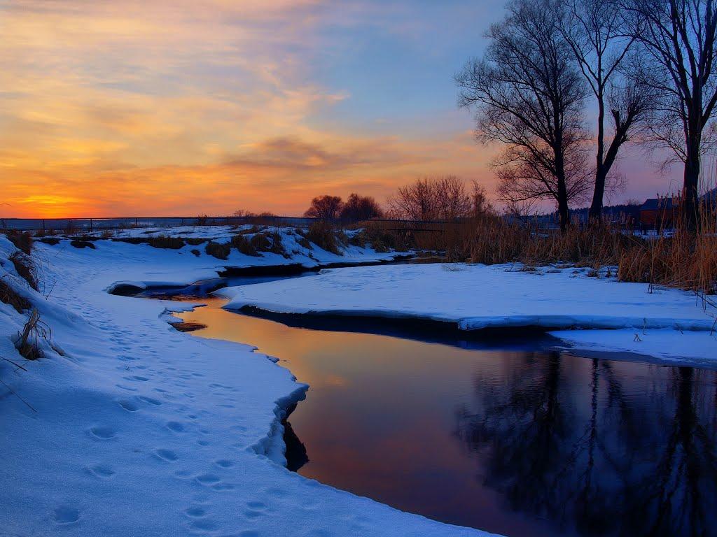 Циркуни з panoramio.com - Циркуны