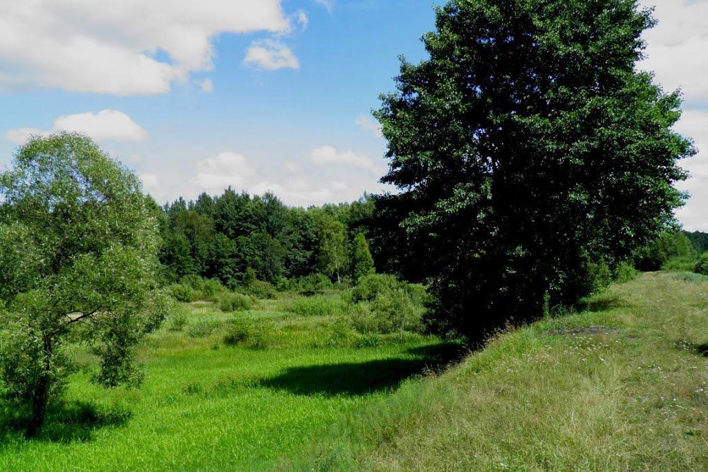 Маневичі з panoramio.com - Маневичі