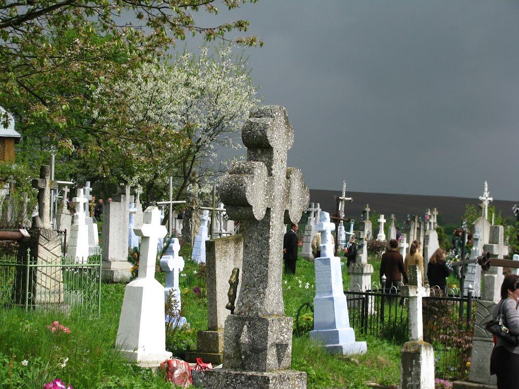 Старі Стрілища з panoramio.com - Старі Стрілища