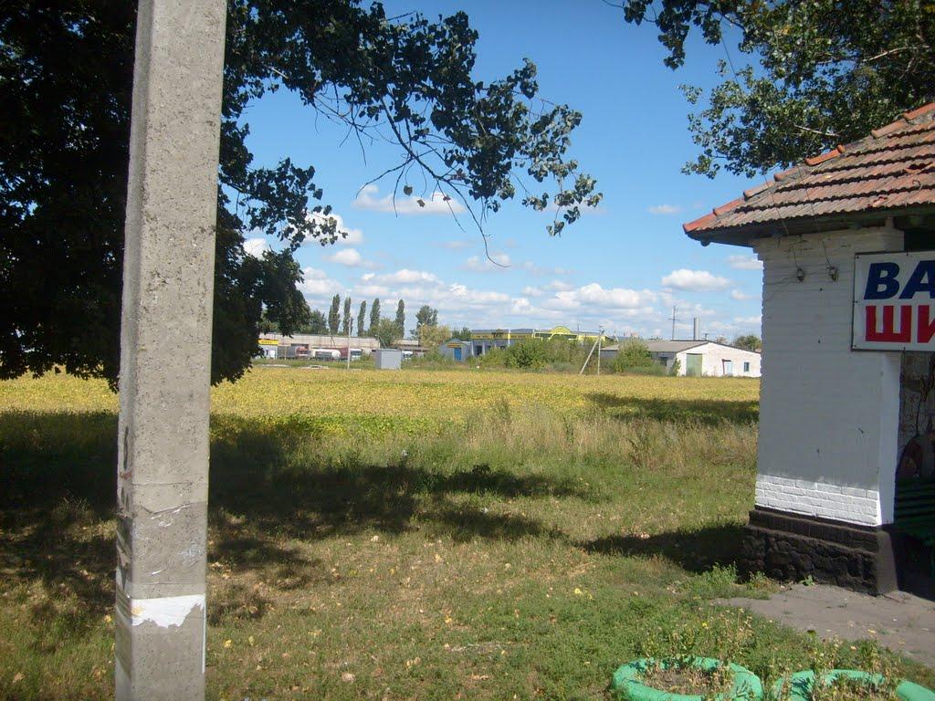 Решетилівка з panoramio.com - Решетиловка