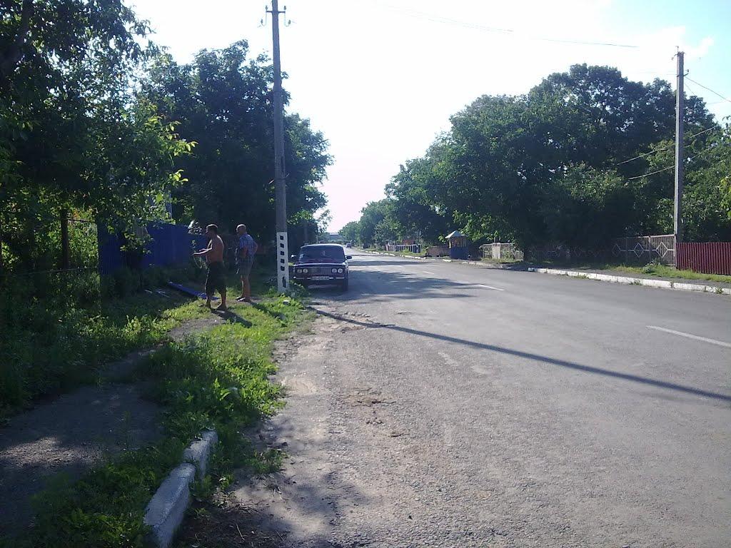 Віньківці з panoramio.com - Віньківці