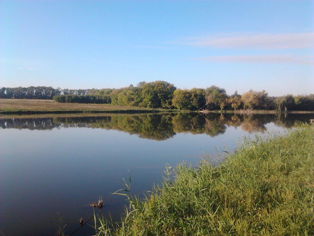 Дзеркальне з panoramio.com - Дзеркальне