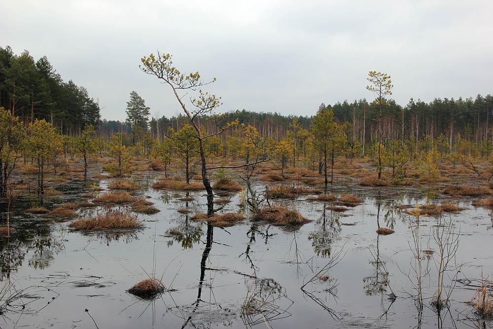 Градиськ з panoramio.com - Градиськ