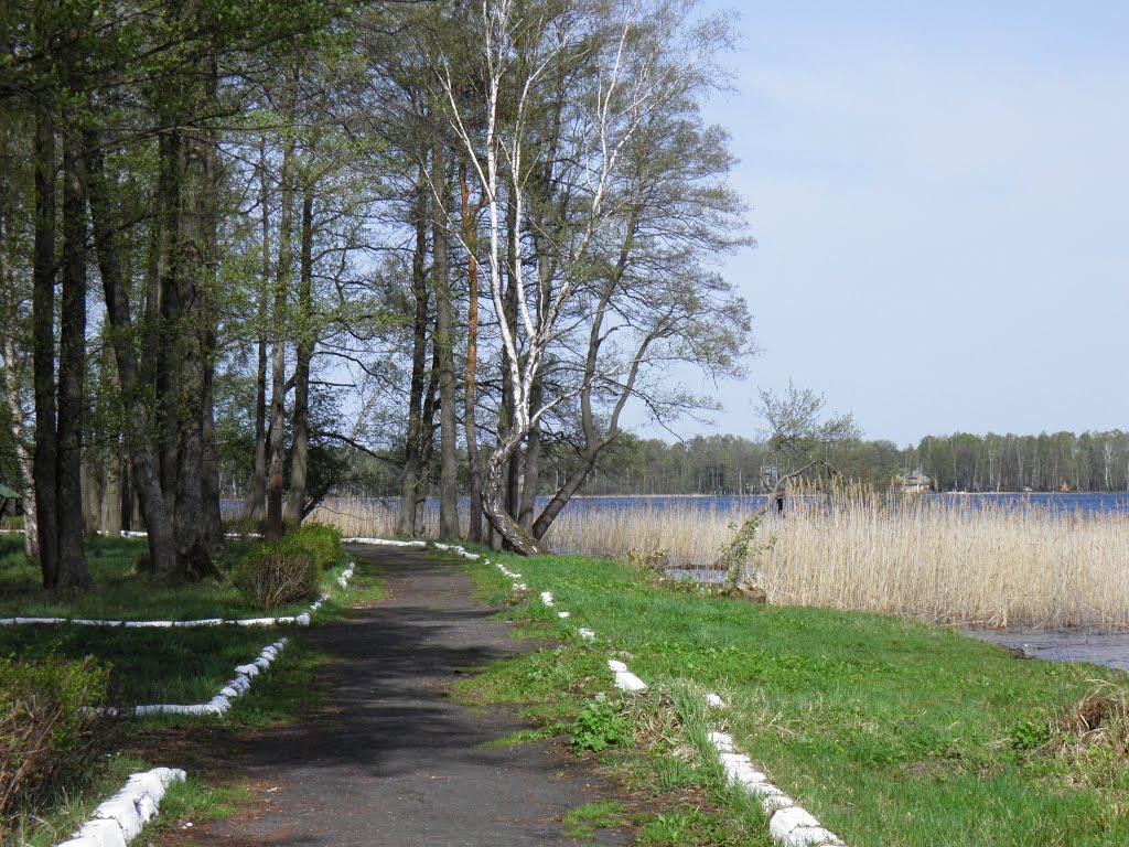 Мельники з panoramio.com - Мельники