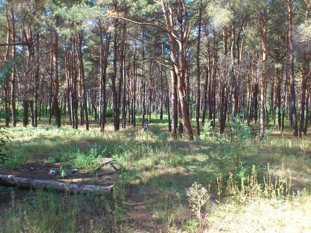 Дніпродзержинськ з panoramio.com (ч.4) - Дніпродзержинськ