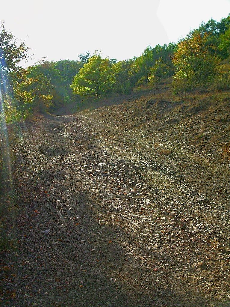 Богатир з panoramio.com - Богатырь