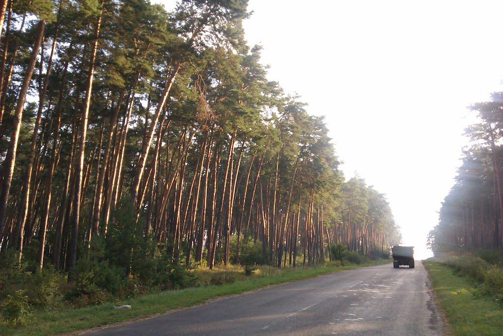 Хмільно з panoramio.com - Хмільно