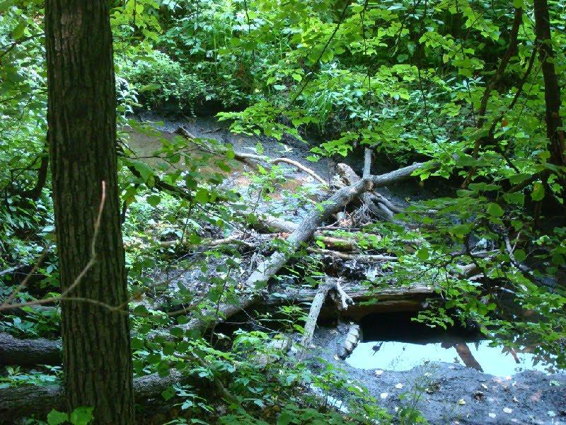 Єнакієве з panoramio.com (ч.3) - Енакиево