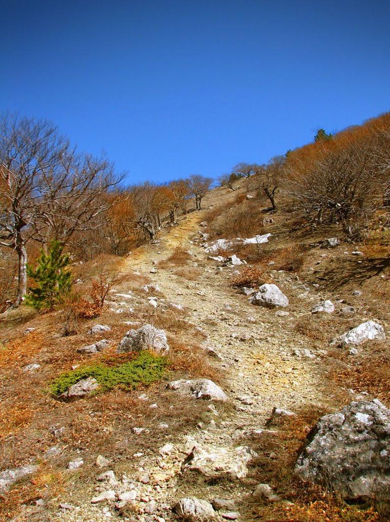 Рибаче з panoramio.com (ч.2) - Rybache