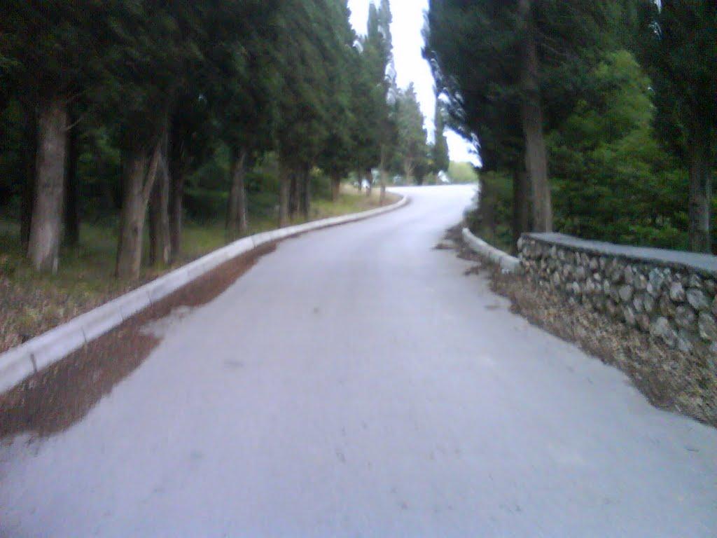 Оползневе з panoramio.com - Оползневе