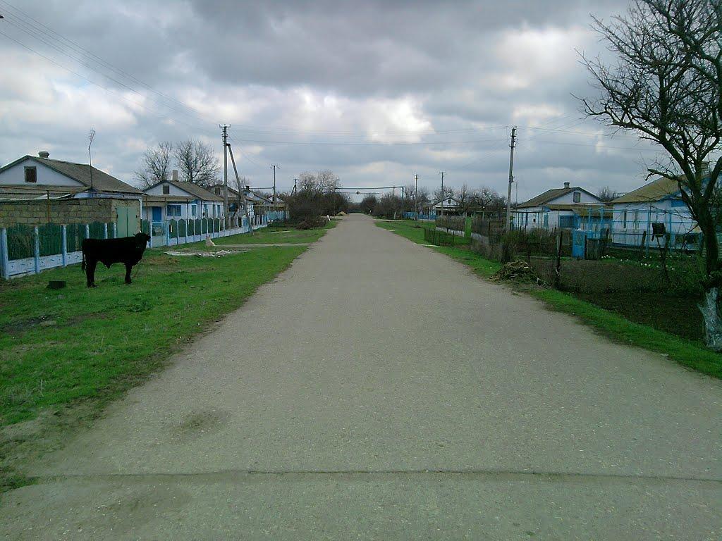 Ботанічне з panoramio.com - Ботанічне