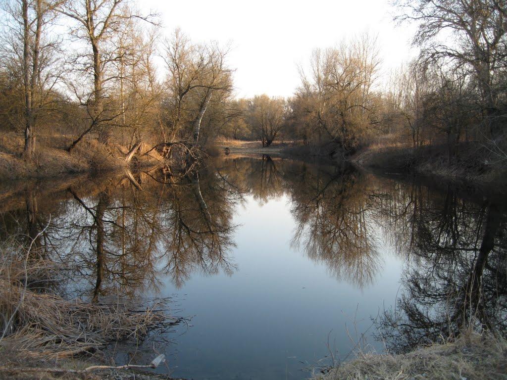 Плавні з panoramio.com - Плавни