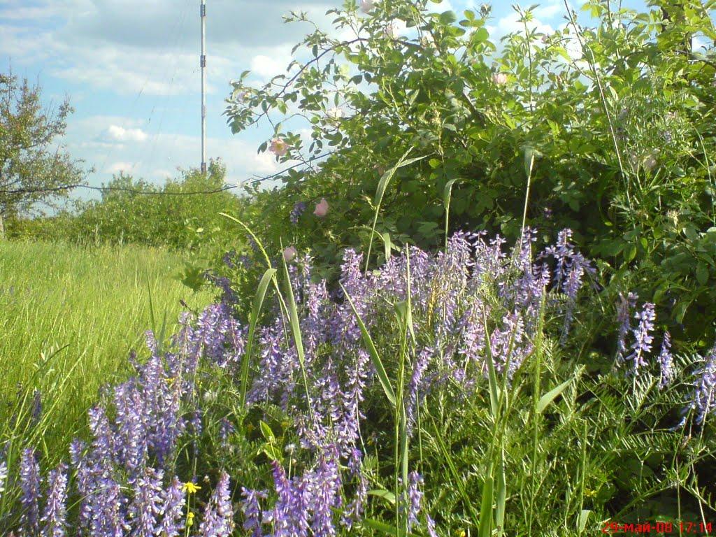 Іванівка з panoramio.com - Іванівка