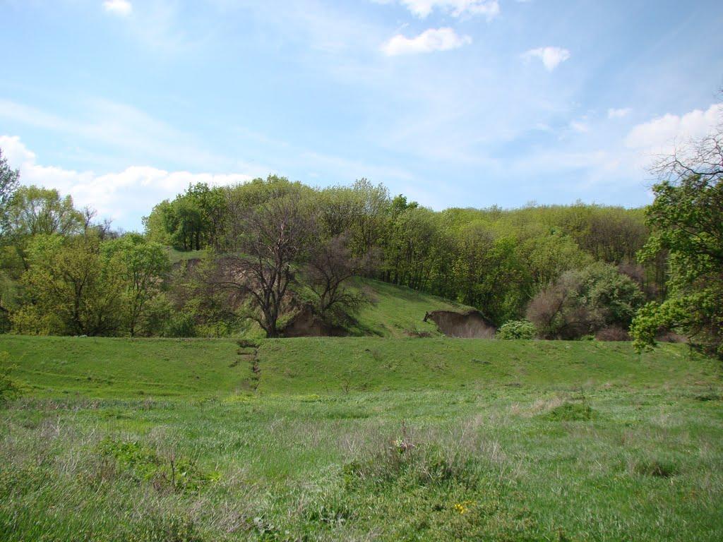 Світловодськ з panoramio.com (ч.2) - Svitlovodsk