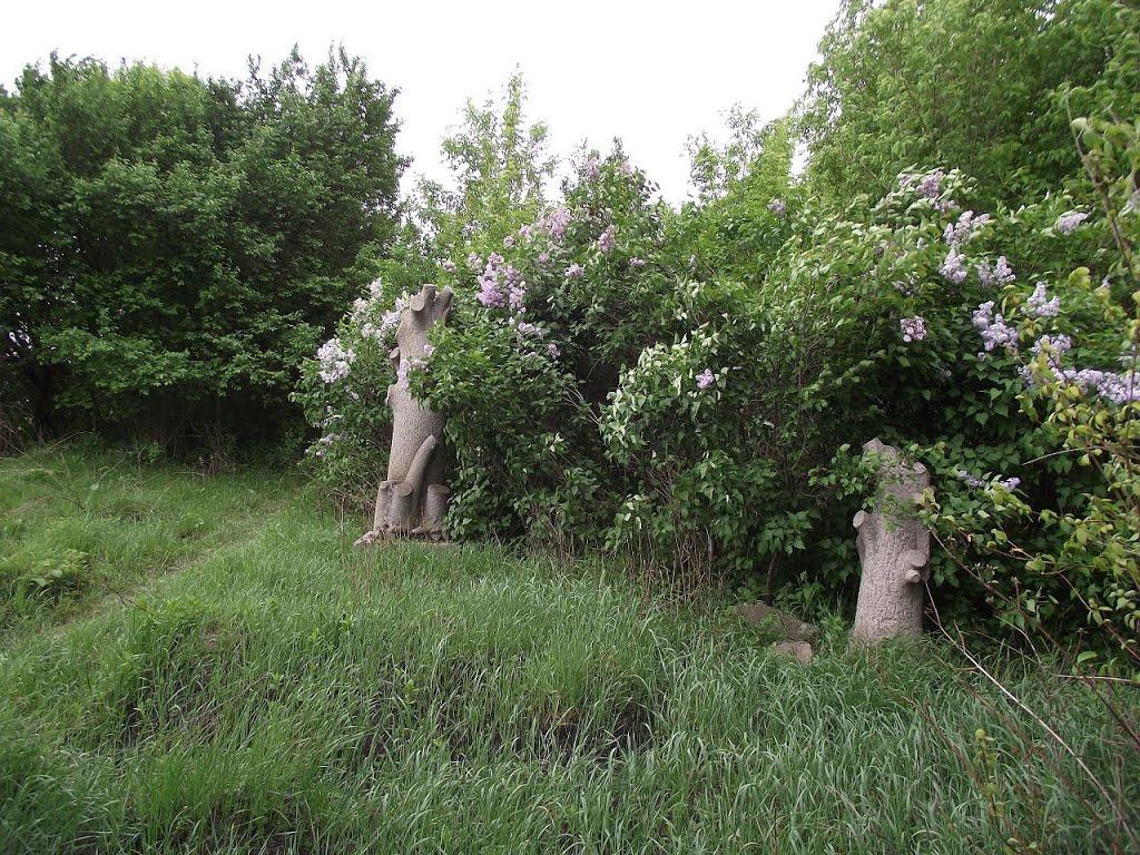 Розаліївка з panoramio.com - Розаліївка