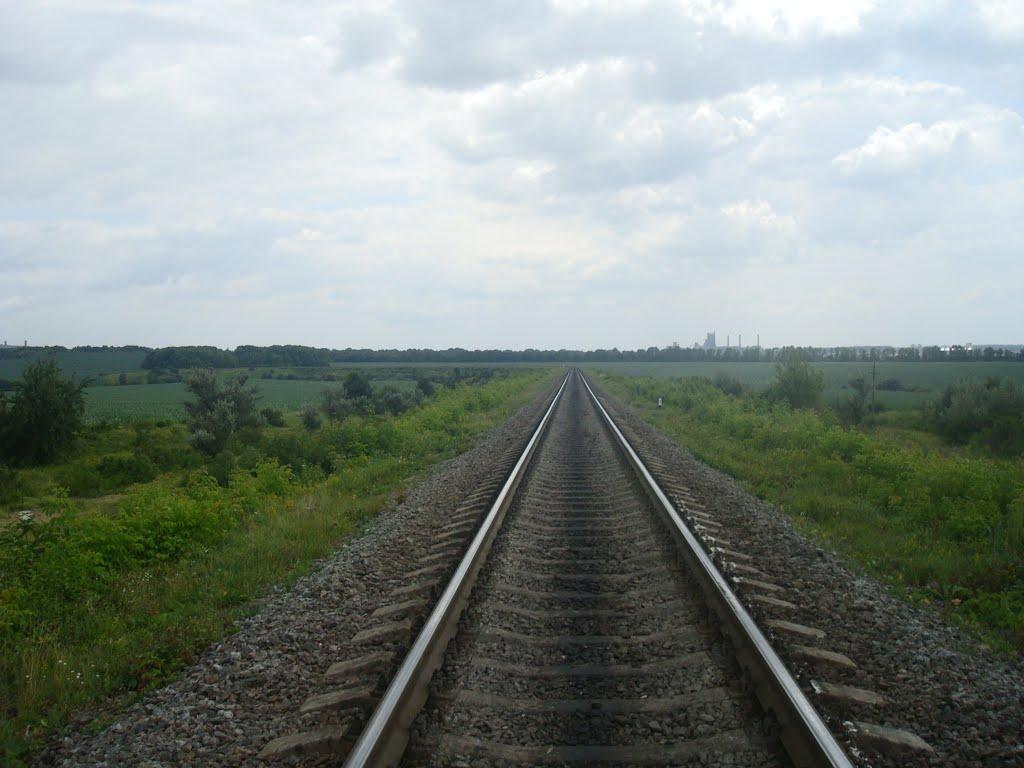 Вербка з panoramio.com - Вербка