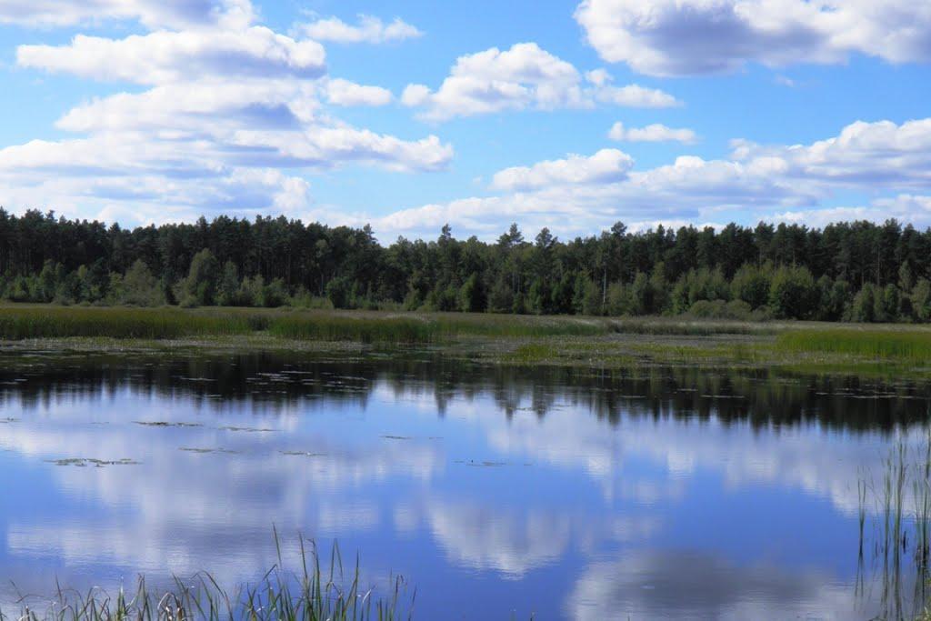 Маневичі з panoramio.com - Маневичі