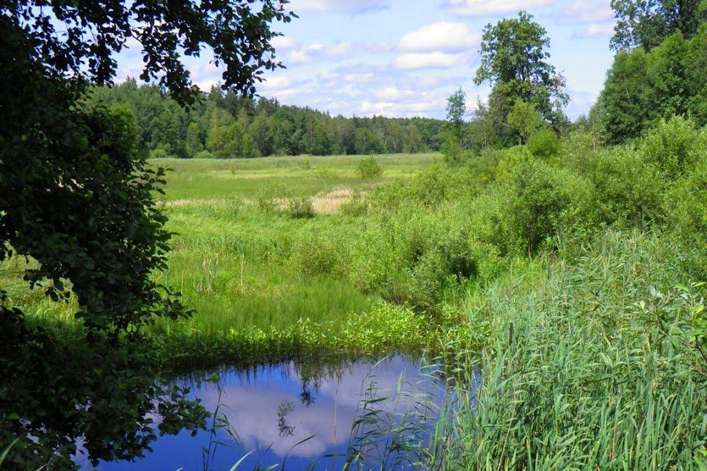Маневичі з panoramio.com - Маневичі