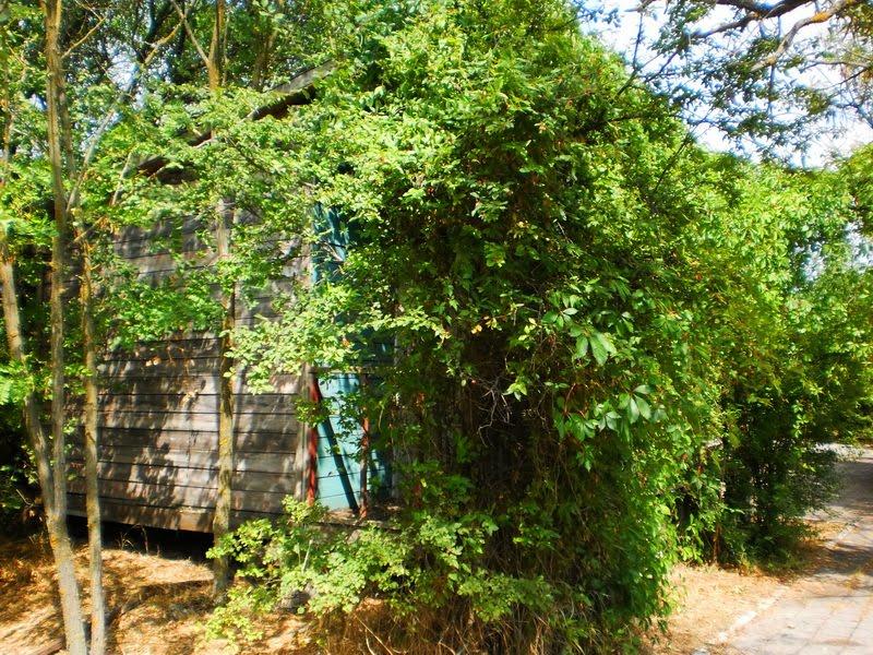 Відважне з panoramio.com - Відважне