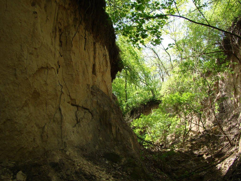 Світловодськ з panoramio.com (ч.2) - Светловодск