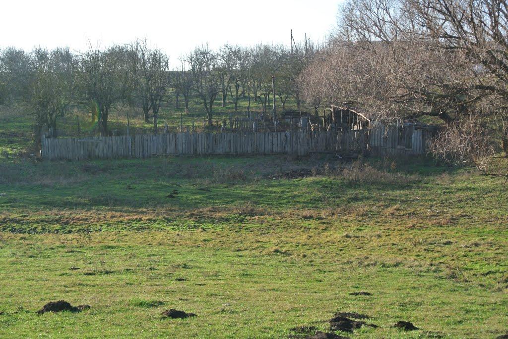 Чистоводне з panoramio.com - Чистоводне