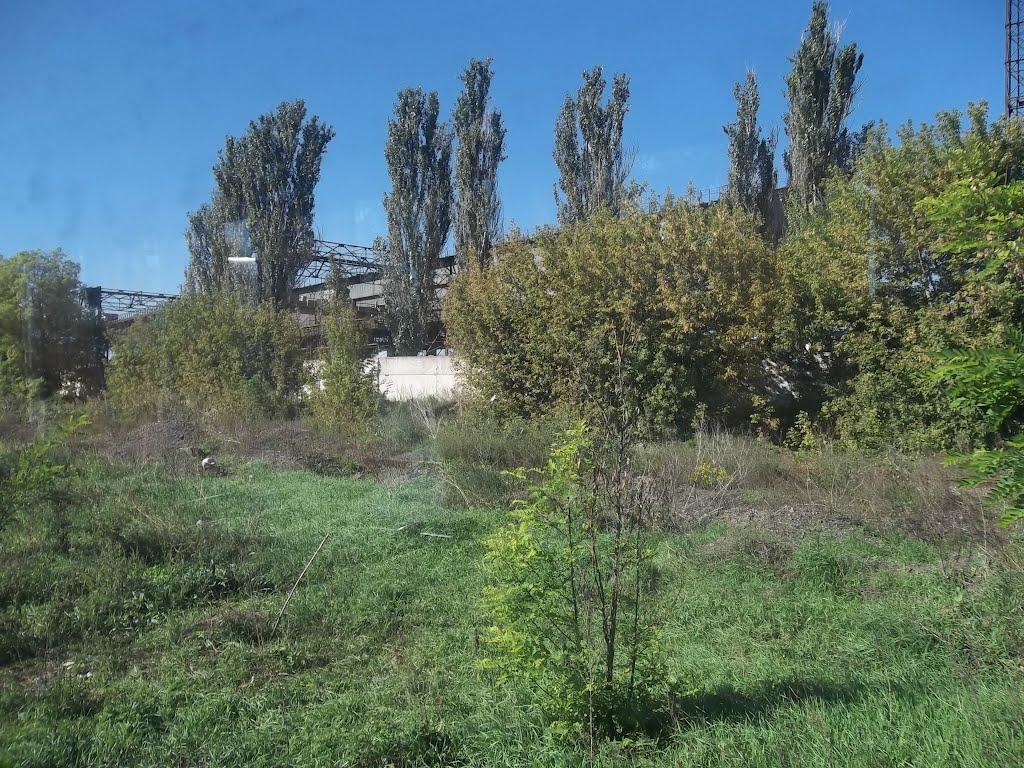 Матвіївка з panoramio.com - Матвіївка