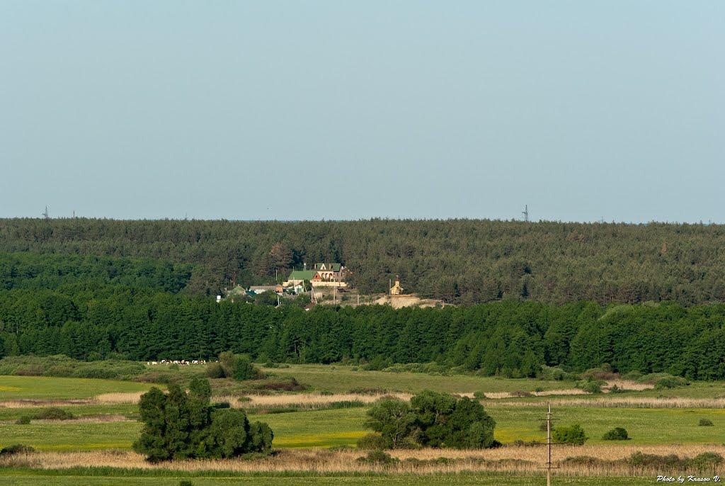 Задонецьке з panoramio.com - Задонецьке