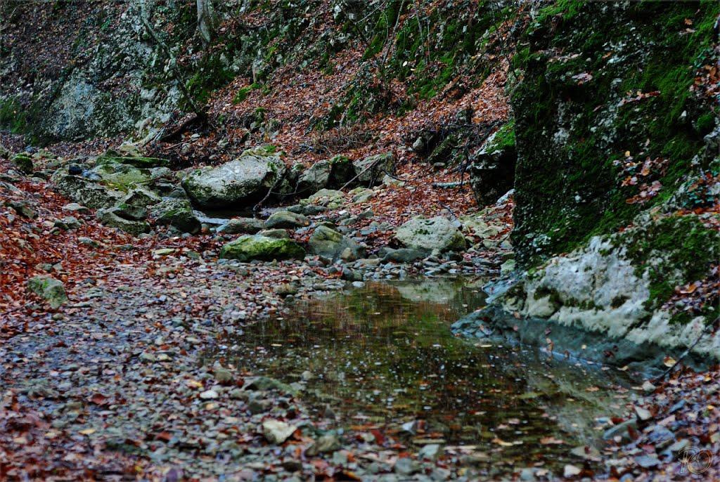 Поворотне з panoramio.com - Поворотне