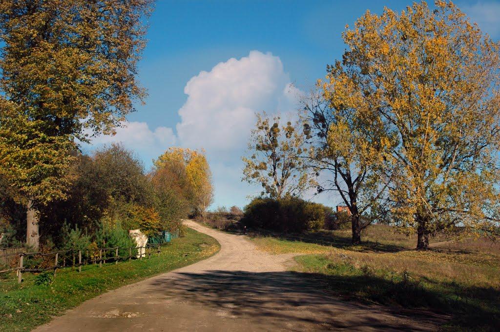 Старі Стрілища з panoramio.com - Старі Стрілища