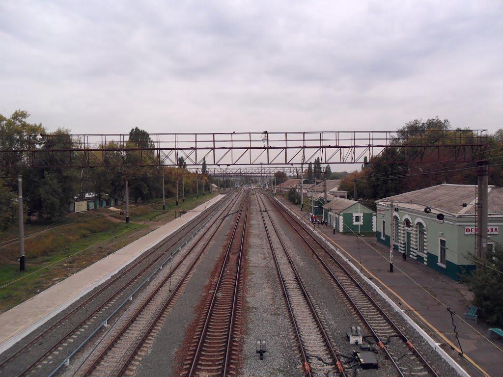 Новгородське з panoramio.com - Новгородське