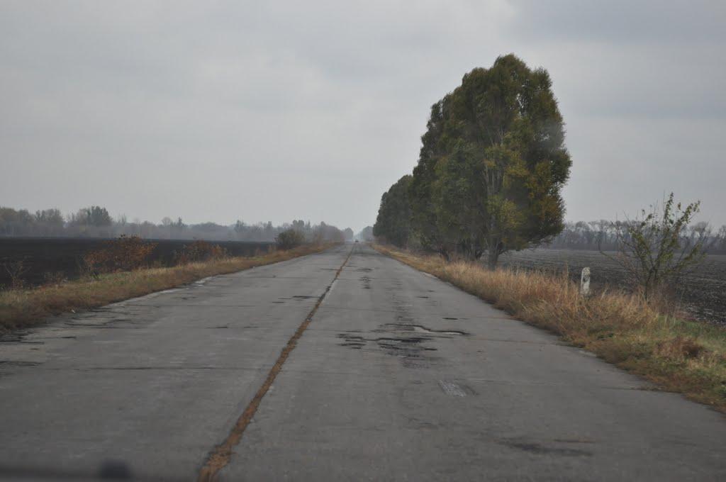 Аполлонівка з panoramio.com - Аполлонівка