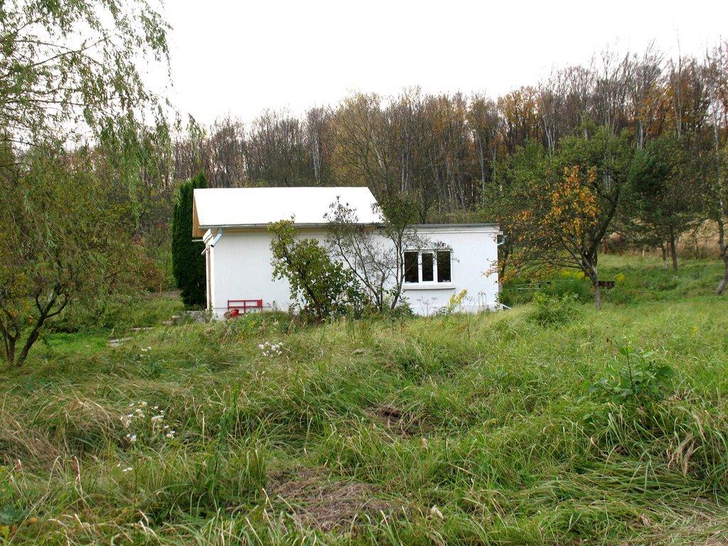 Брюховичі з panoramio.com - Брюховичі