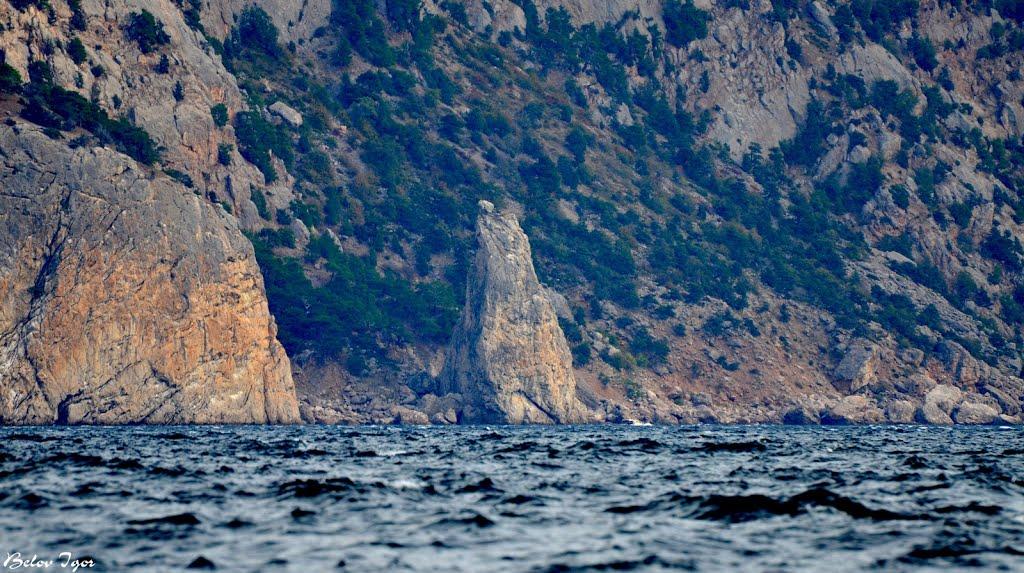 Резервне з panoramio.com (ч.4) - Резервное