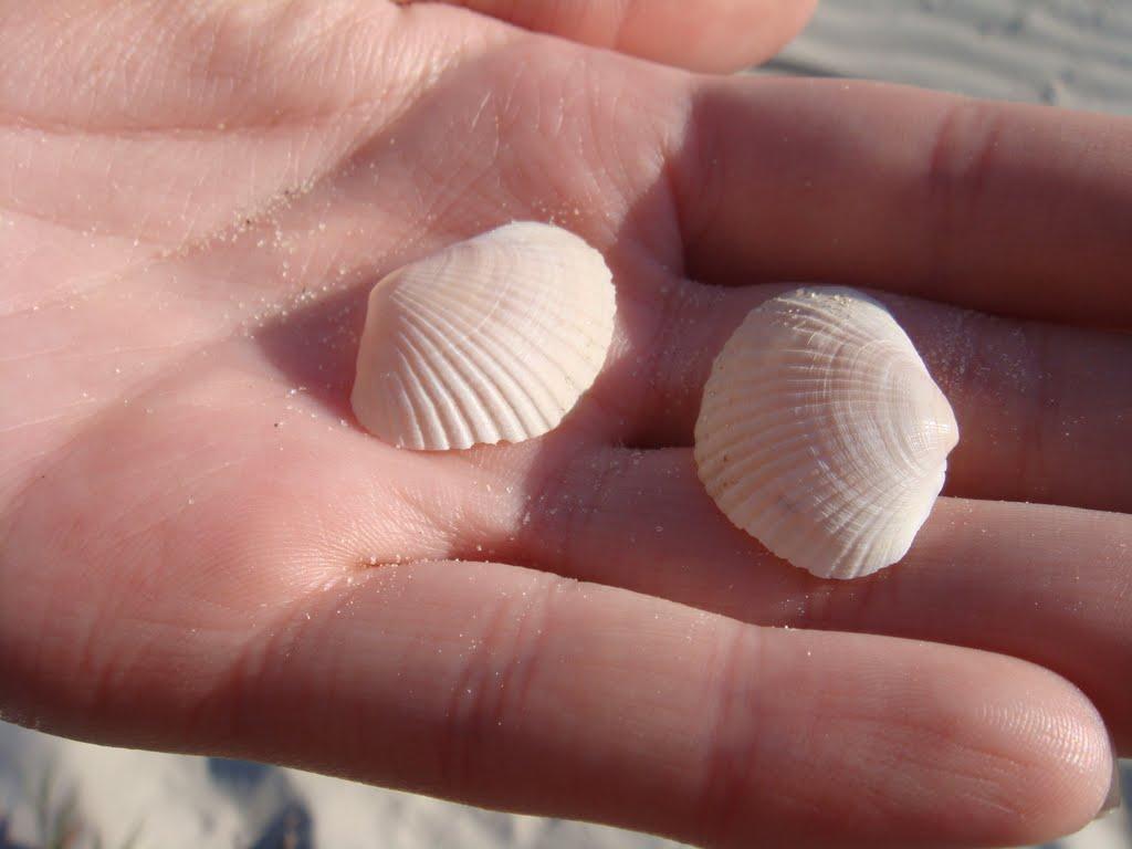 Вітове з panoramio.com - Вітове