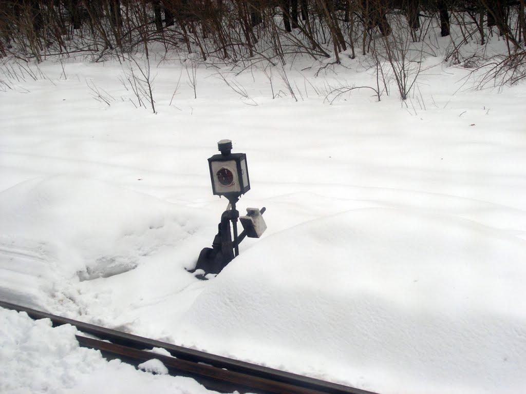 Радгоспне з panoramio.com - Radgospne