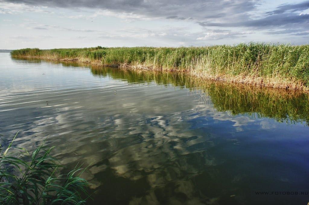 Василівка з panoramio.com - Vasylivka