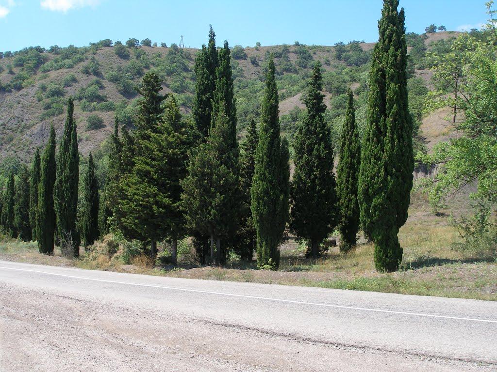 Рибаче з panoramio.com (ч.2) - Rybache