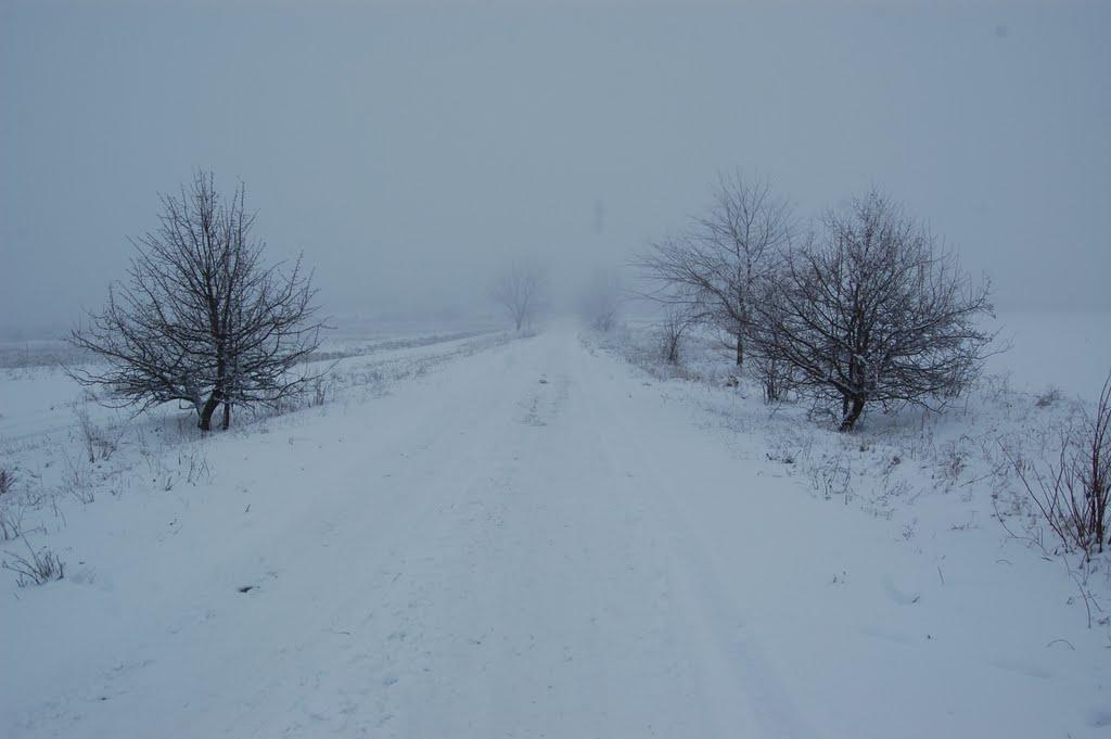 Вікторівка з panoramio.com - Вікторівка