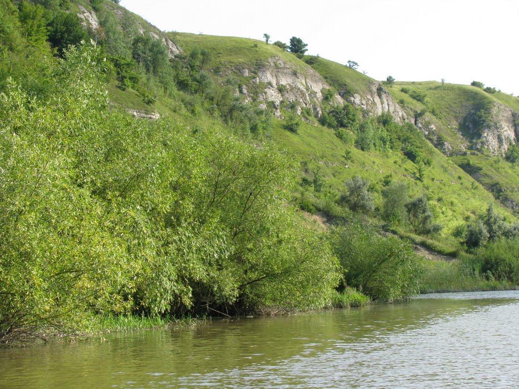 Кудринці з panoramio.com - Kudryntsi