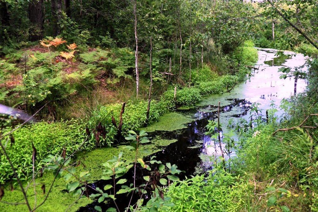 Маневичі з panoramio.com - Маневичі